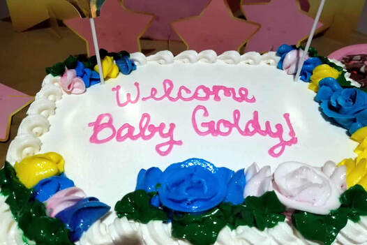 Welcoming Goldy Weisfeld (Archived 11/11/2020)