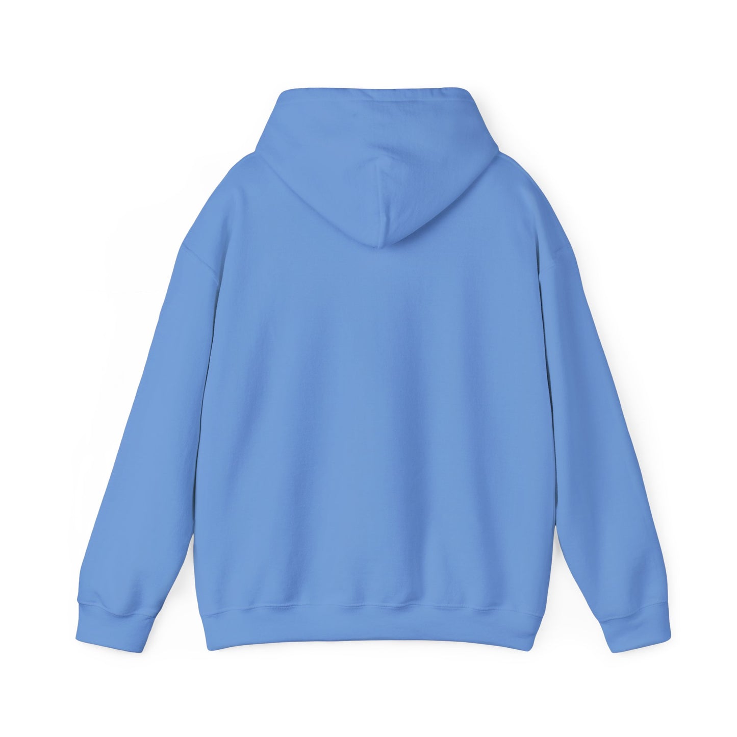 VPI Hoodie - Black Logo