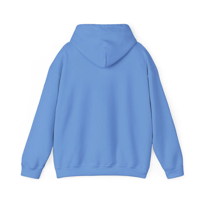 VPI Hoodie - Black Logo