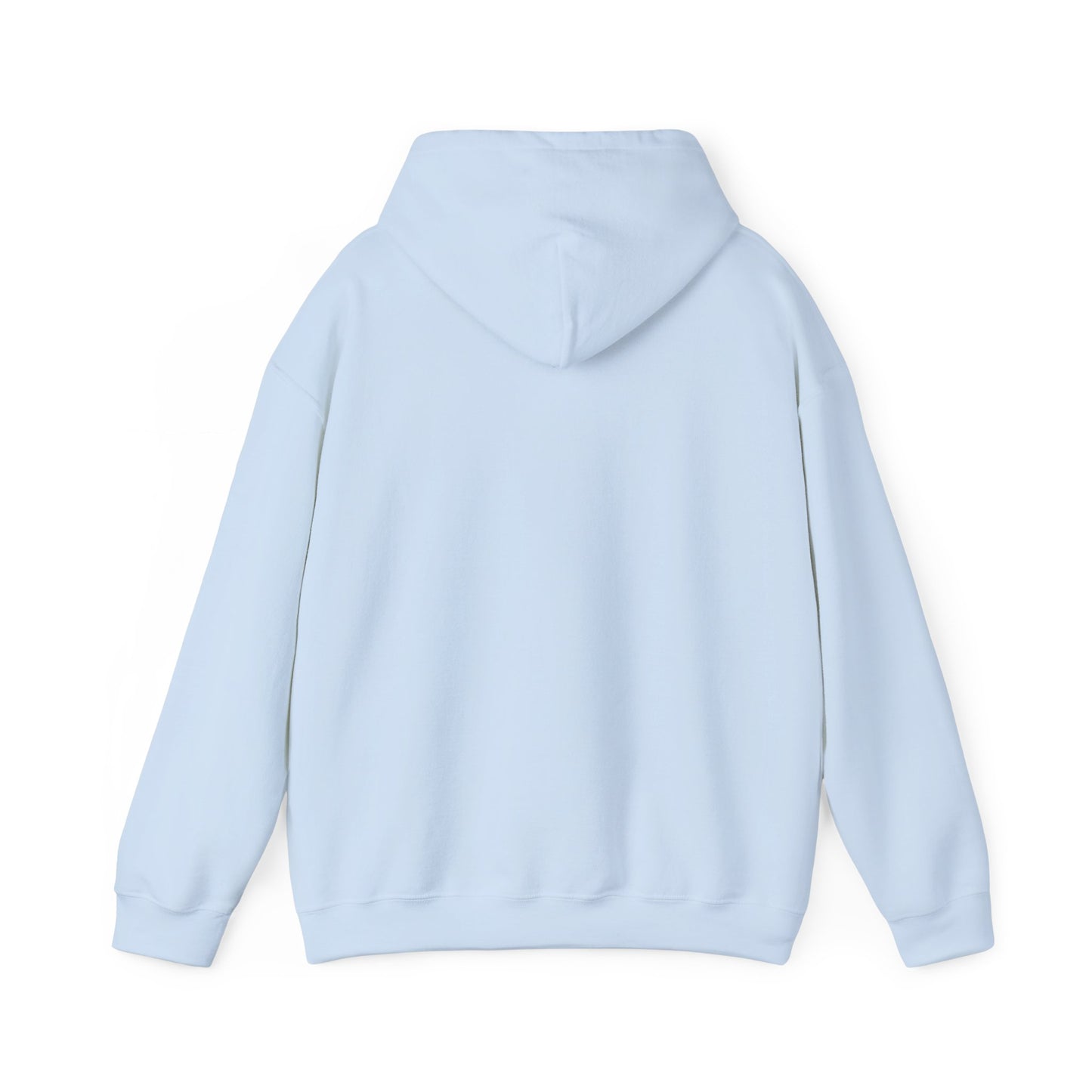 VPI Hoodie - Black Logo