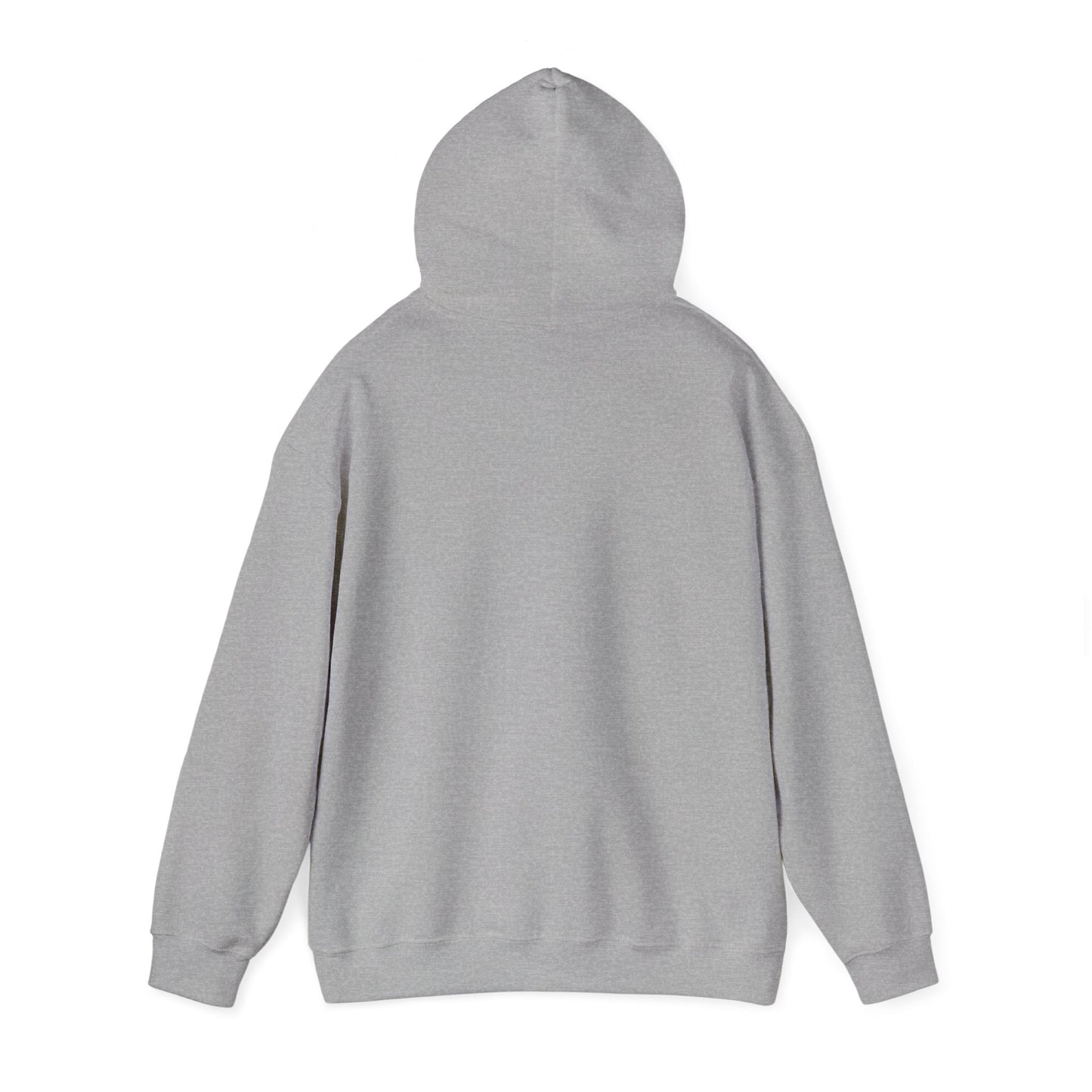 VPI Hoodie - Black Logo