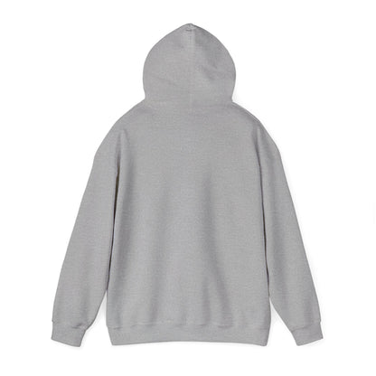 VPI Hoodie - Black Logo