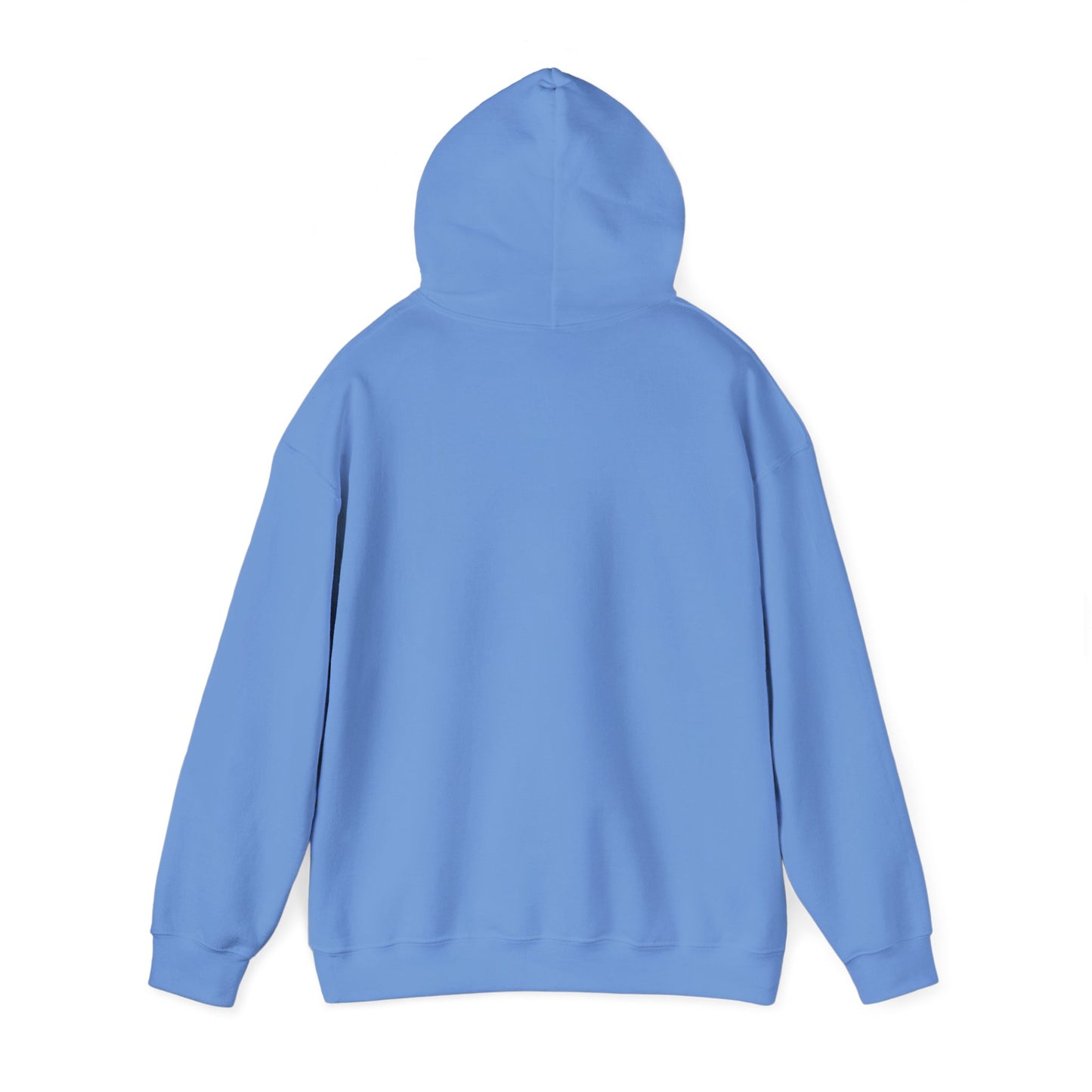 VPI Hoodie - Black Logo