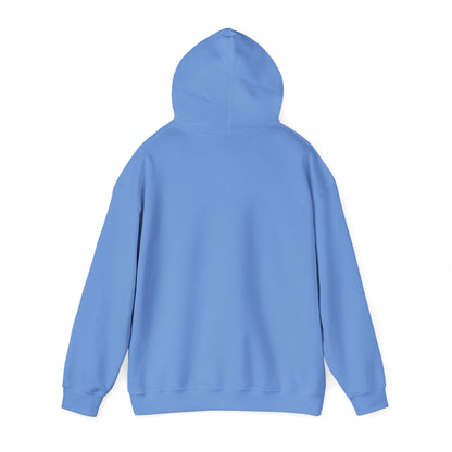 VPI Hoodie - Black Logo