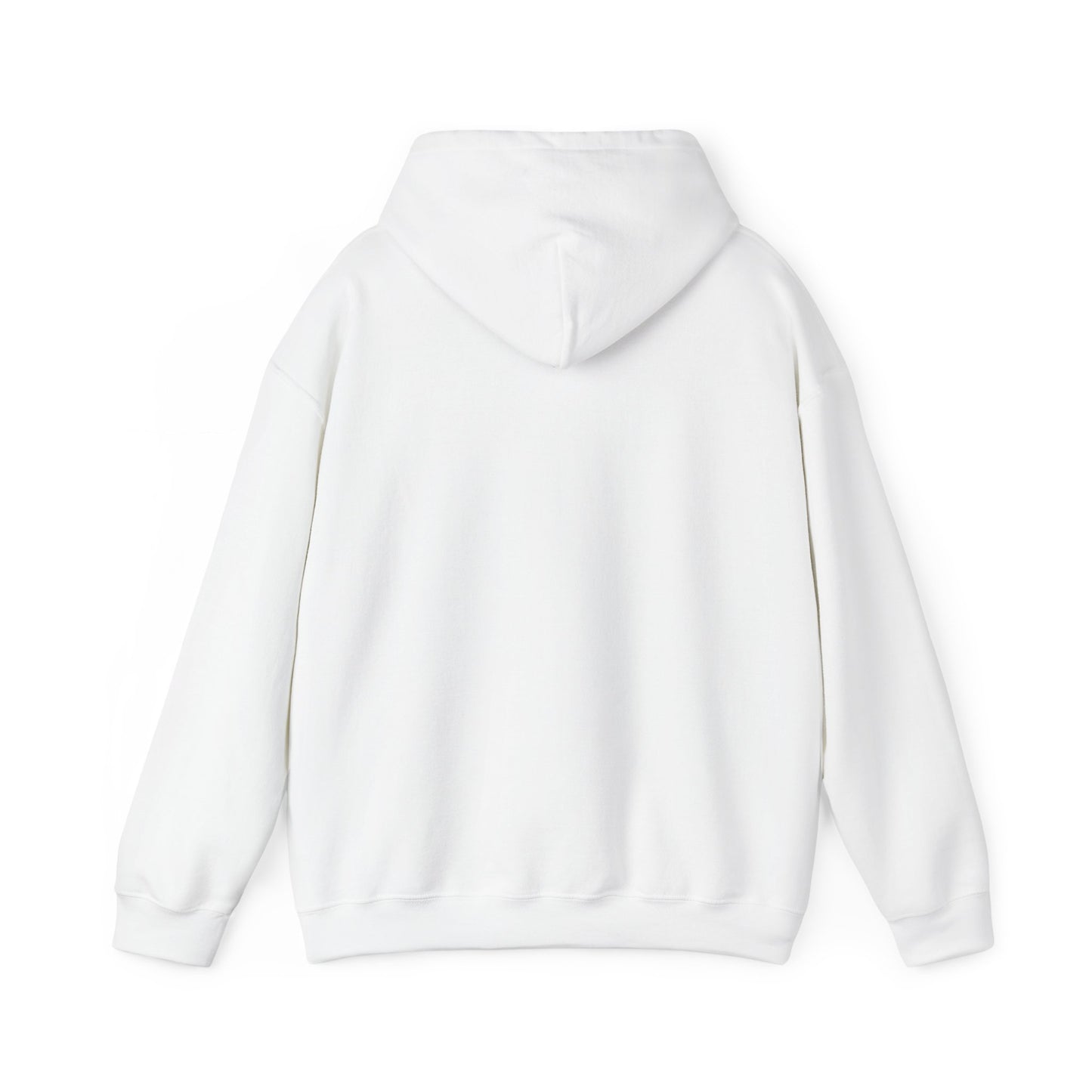 VPI Hoodie - Black Logo