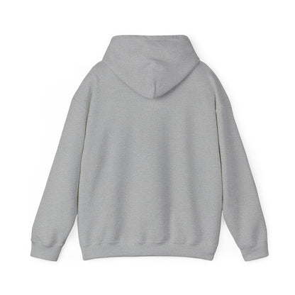 VPI Hoodie - Black Logo