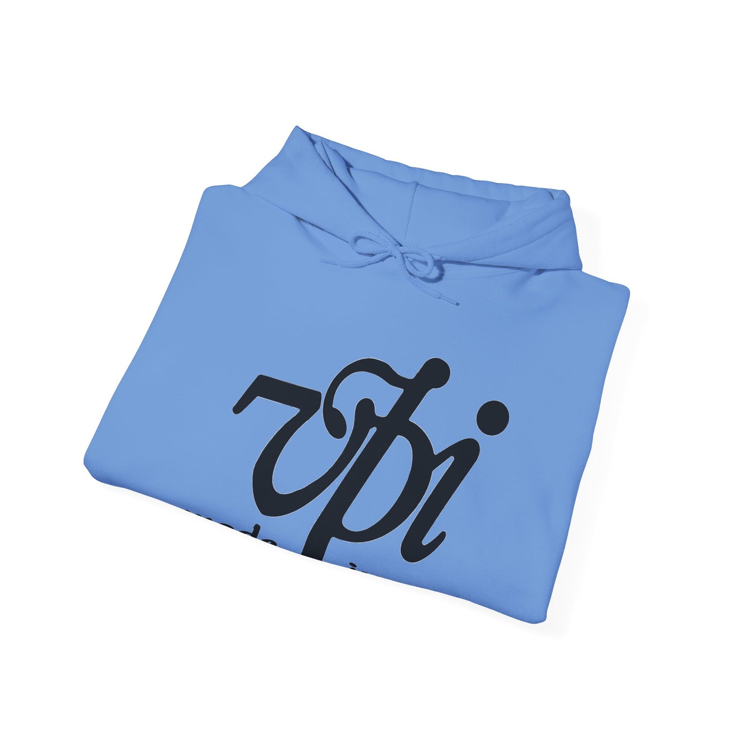 VPI Hoodie - Black Logo