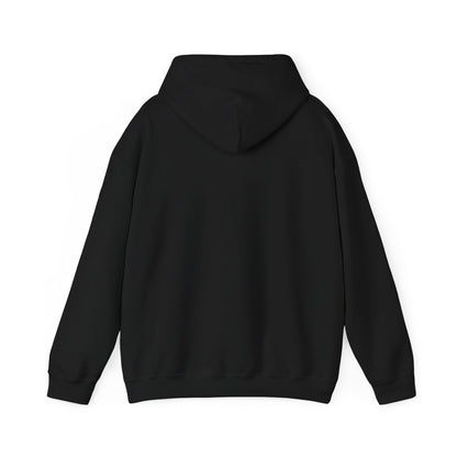 VPI Hoodie - White Logo