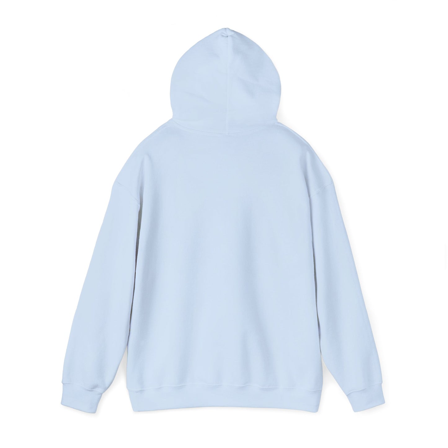 VPI Hoodie - Black Logo