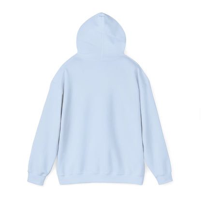 VPI Hoodie - Black Logo