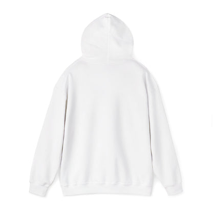 VPI Hoodie - Black Logo